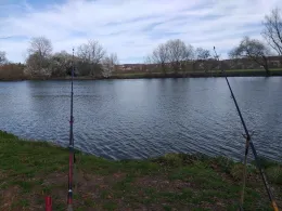 Neckar (Unterensingen)-1