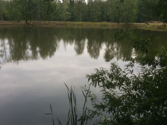 Kleine Grube (Etzenricht)-1