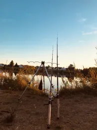 Neckar (Ladenburg)-4