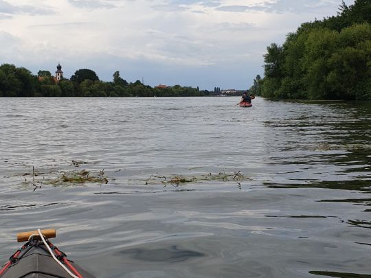 Neckar (Ladenburg)-1