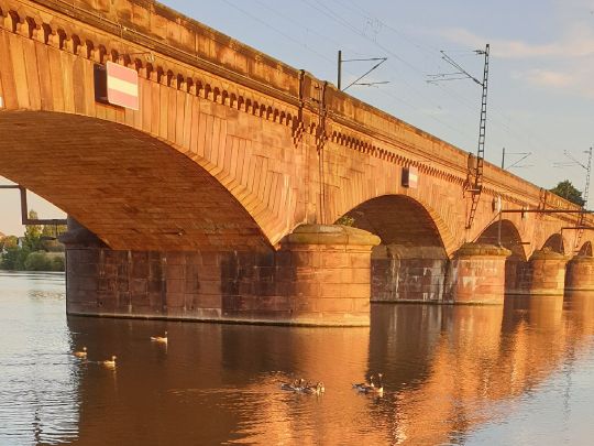 Neckar (Ladenburg)-2