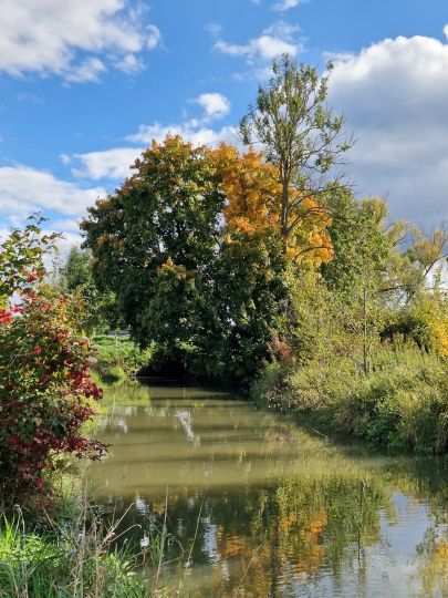 Große Laber (Rottenburg)-3