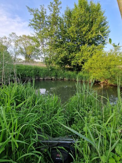 Große Laber (Rottenburg)-4