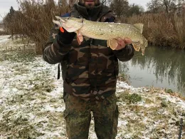 Kleine Laber (Geiselhöring)
