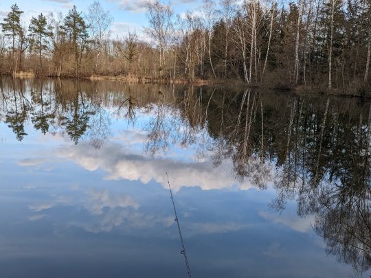 Inselweiher (Binswangen)-1