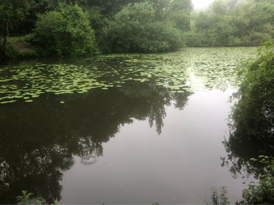 Altarm Drei Eichen (Warendorf)