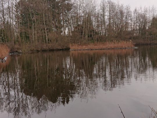 Schnelsener Moorteiche-1