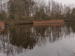 Schnelsener Moorteiche-1