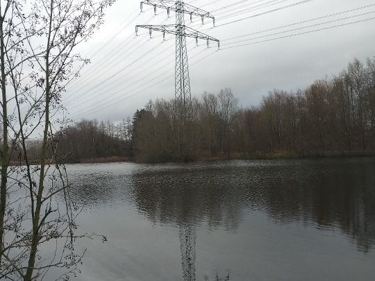 Schnelsener Moorteiche-2