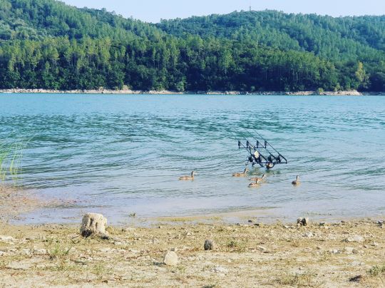 Lac de Saint-Cassien-2