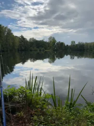 Waldsee Ernsgaden-1