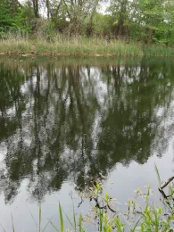 Oder-Havel-Kanal (Kreuzbruch)-1