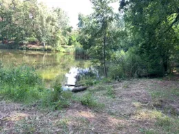 Kiesgrube Spreenhagen