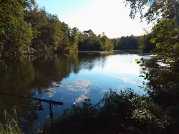 Kiesgrube Spreenhagen-4