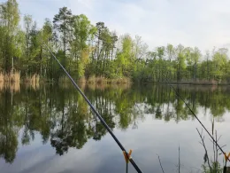 Kiesgrube Spreenhagen-3