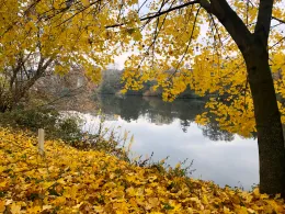 Neckar (Kirchheim-Gemmrigheim)-3