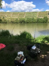 Neckar (Kirchheim-Gemmrigheim)-1