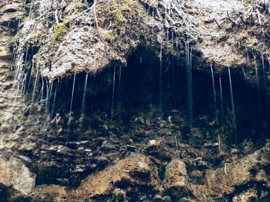 Neckar (Kirchheim-Gemmrigheim)-4