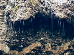 Neckar (Kirchheim-Gemmrigheim)-4