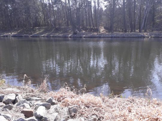 Oder-Spree-Kanal (Kersdorf)-3