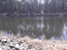 Oder-Spree-Kanal (Kersdorf)-3