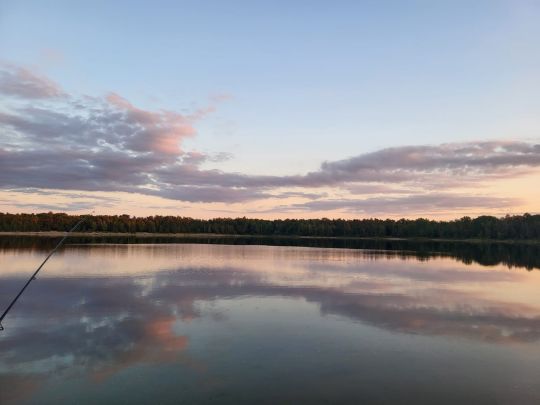 Ammelshainer See (Moritzsee)-3
