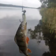 Templiner See (Templin)-3