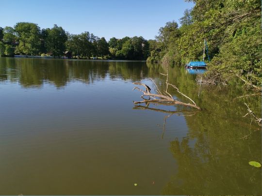 Templiner See (Templin)-2