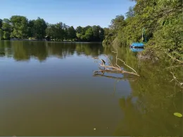 Templiner See (Templin)-2