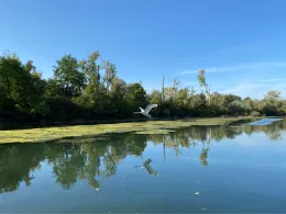 Altrhein Daxlanden (Karlsruhe)