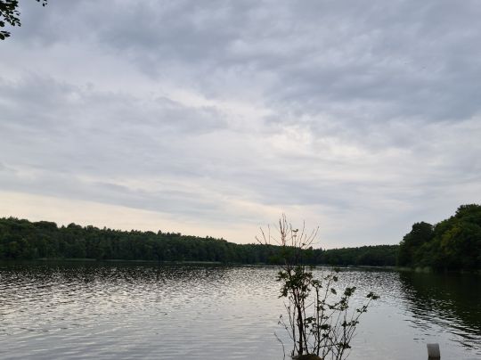 Lütauer See (Mölln)-4