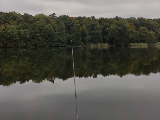 Lütauer See (Mölln)-1