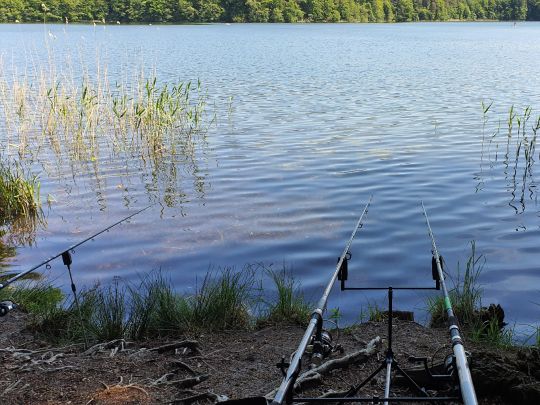 Lütauer See (Mölln)-3