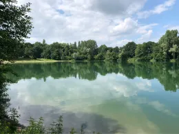 Erlensee (Bickenbach)