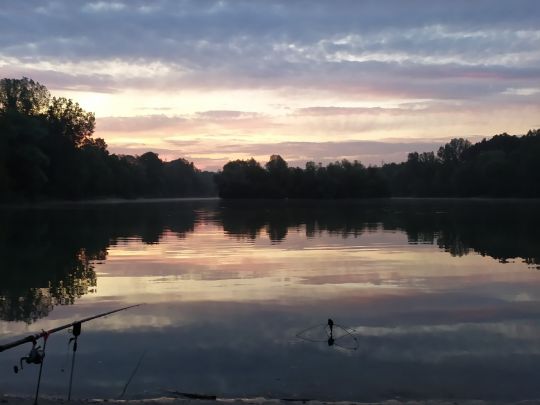 Erlensee (Bickenbach)-1