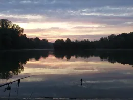 Erlensee (Bickenbach)-1