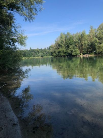 Erlensee (Bickenbach)-2