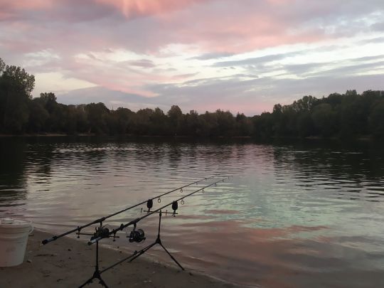 Erlensee (Bickenbach)-4