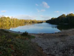 Erlensee (Bickenbach)-3