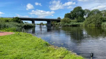 Eider (Hamdorf-Breiholz)-3