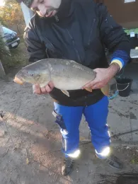 Vereinsgewässer Blindfische Schapen