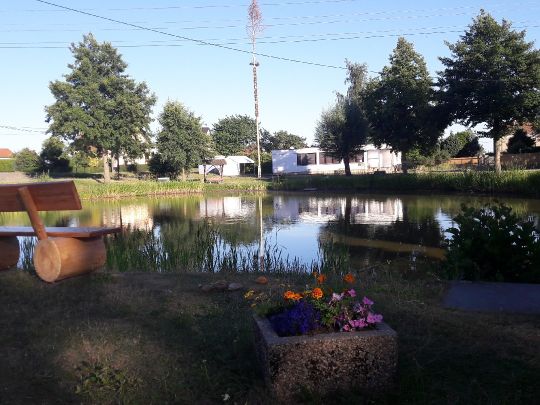 Dorfteich Weißig