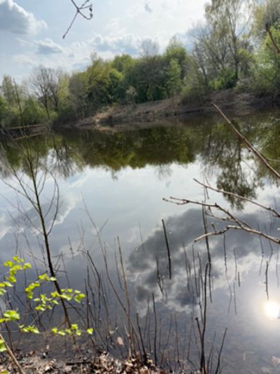 Kleiner Weidekampsee (Wahrenholz)-4