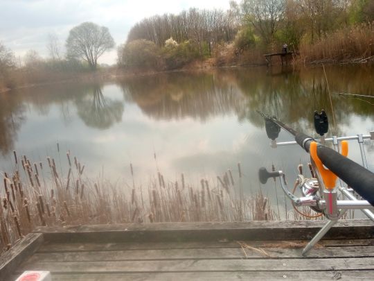 Kleiner Weidekampsee (Wahrenholz)-3