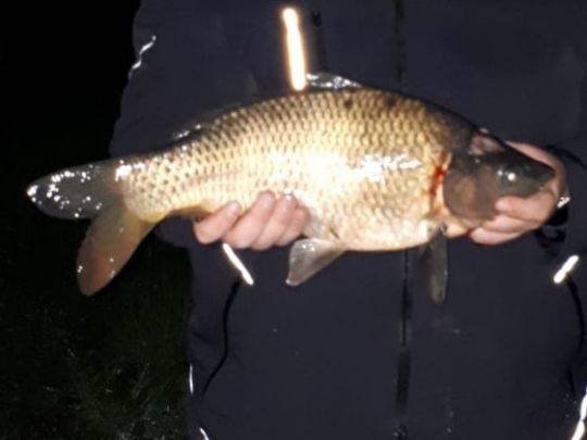 Kleiner Weidekampsee (Wahrenholz)-2