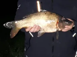 Kleiner Weidekampsee (Wahrenholz)-2