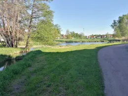 Kleiner Lork-2