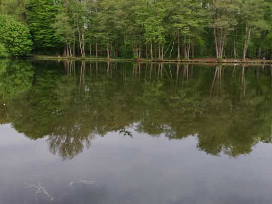 Angelpark Tüschenbroich-4