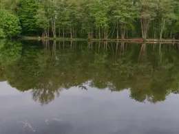 Angelpark Tüschenbroich-4