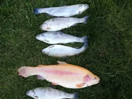 Angelpark Tüschenbroich-2